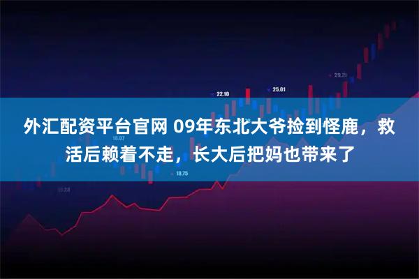 外汇配资平台官网 09年东北大爷捡到怪鹿，救活后赖着不走，长大后把妈也带来了