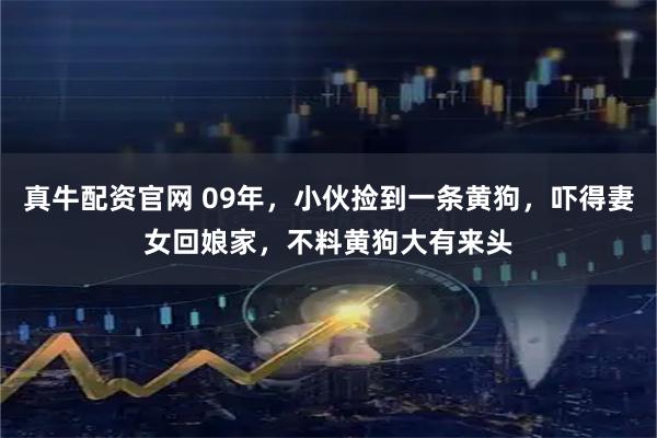 真牛配资官网 09年，小伙捡到一条黄狗，吓得妻女回娘家，不料黄狗大有来头
